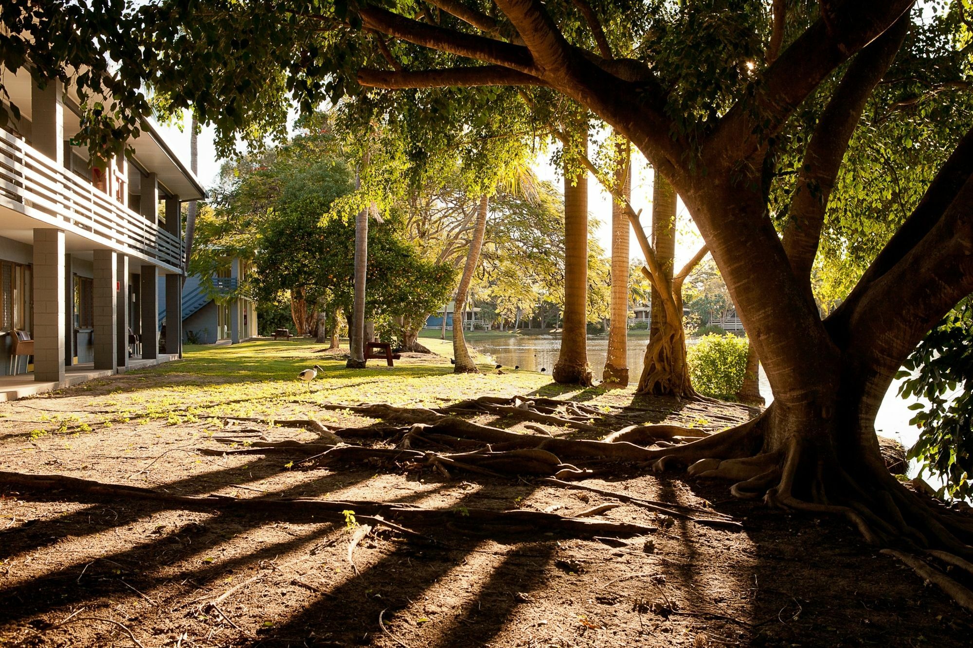 Kondari Hotel Hervey Bay Buitenkant foto